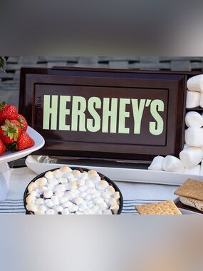HERSHEYs s’mores caddy glowing the dark camping travel case NEW food storage